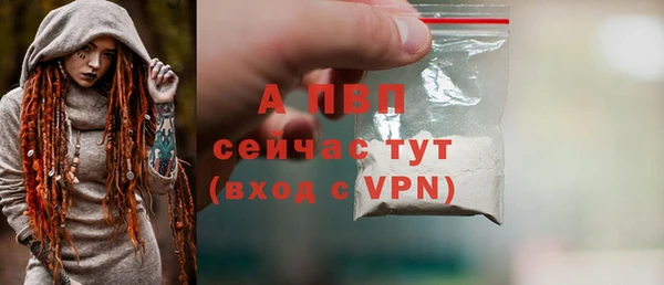 соль ск Алексин
