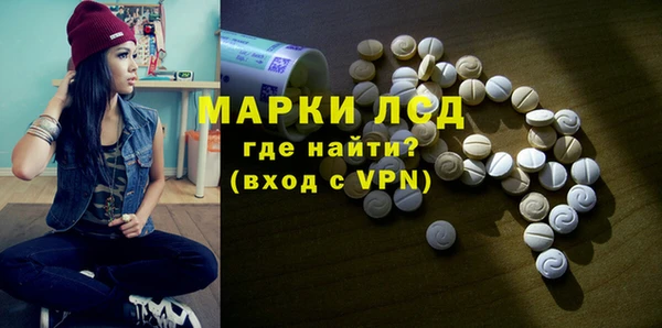 гидра Алексеевка