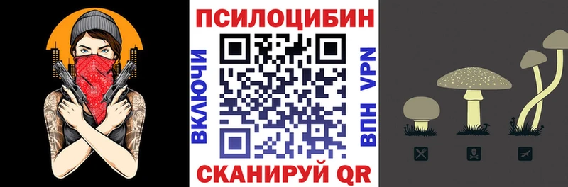 Псилоцибиновые грибы Psilocybine cubensis  Александров 