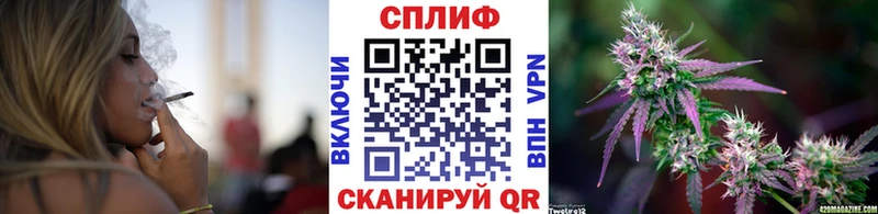 где купить наркотик Александров Каннабис Ganja